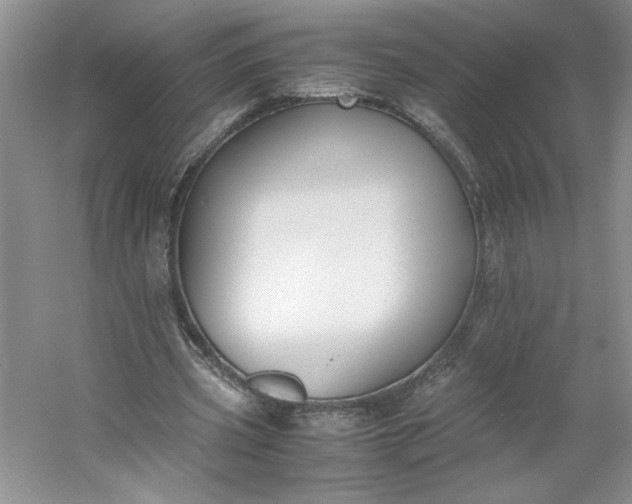 X0000053070533200507251502