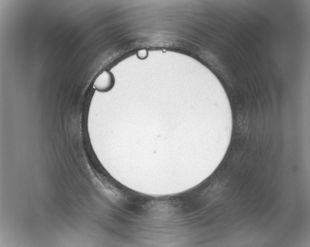 X0000053070534200507251502