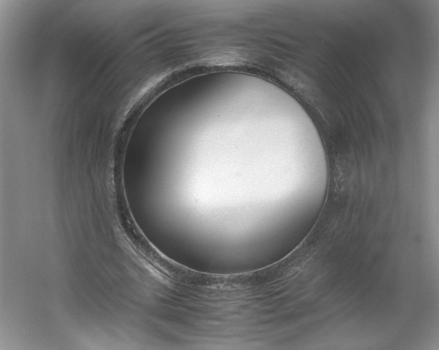 X0000053070535200507251502