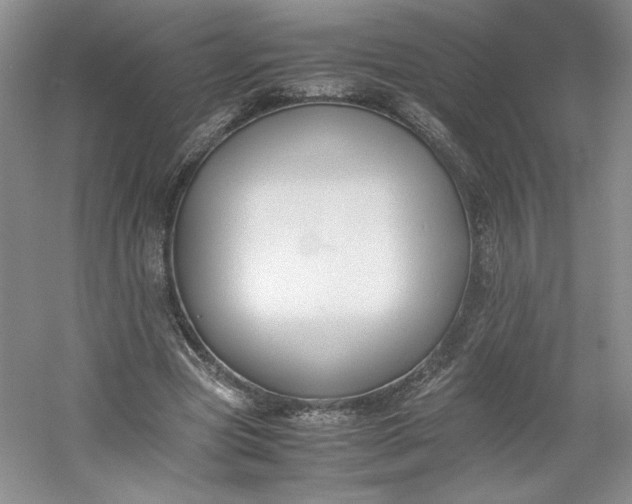 X0000053070537200507251502