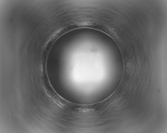 X0000053070539200507251502