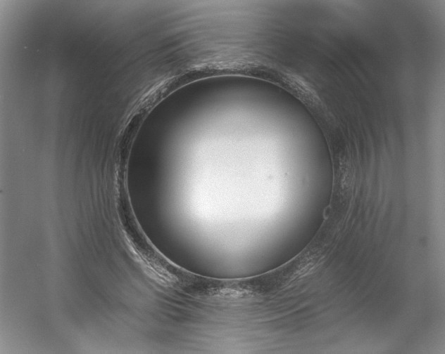 X0000053070542200507251502