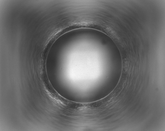 X0000053070544200507251502