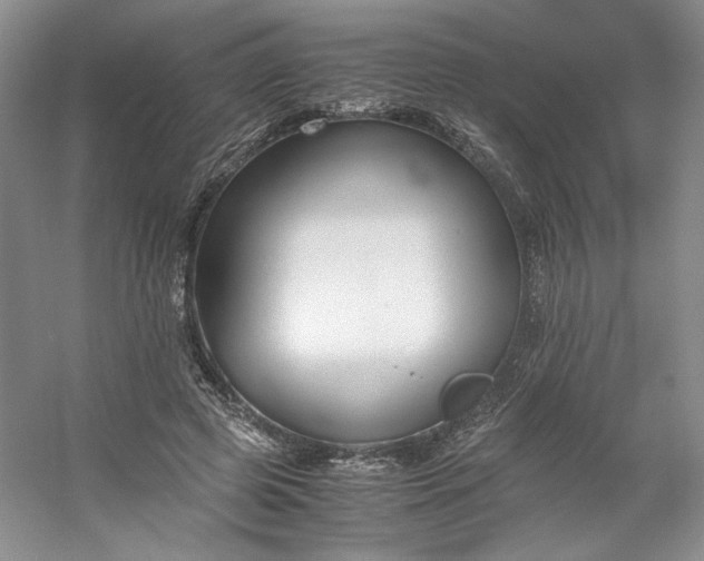 X0000053070545200507251502