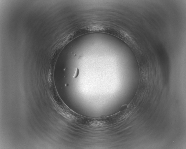 X0000053070549200507251502