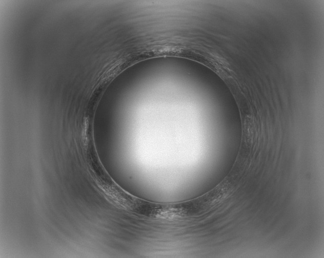 X0000053070550200507251502