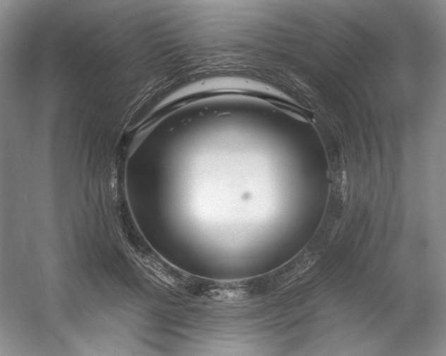 X0000053070552200507251502