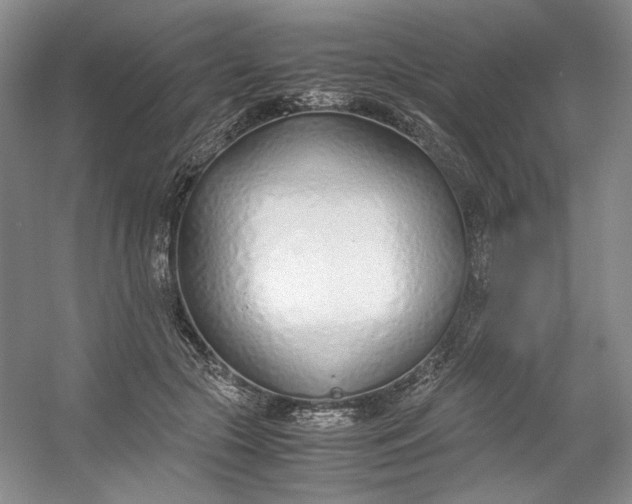 X0000053070553200507251502