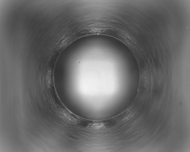 X0000053070554200507251502