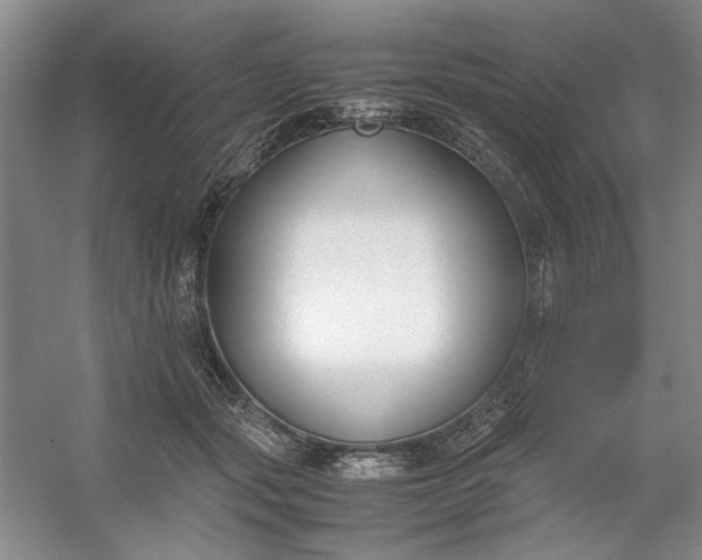 X0000053070557200507251502