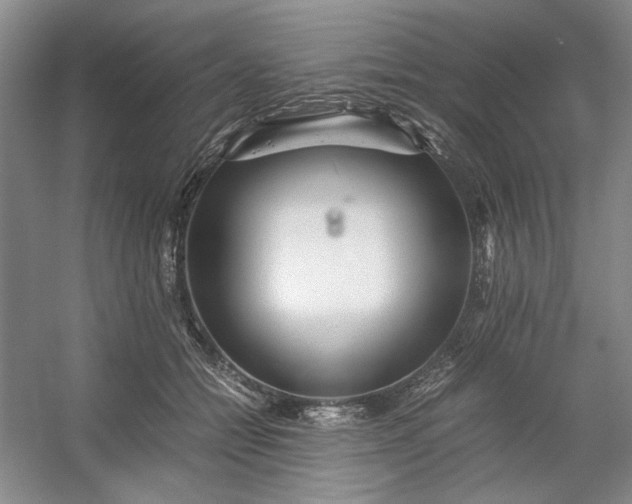 X0000053070558200507251502