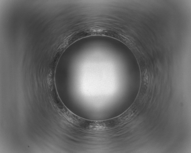 X0000053070559200507251502