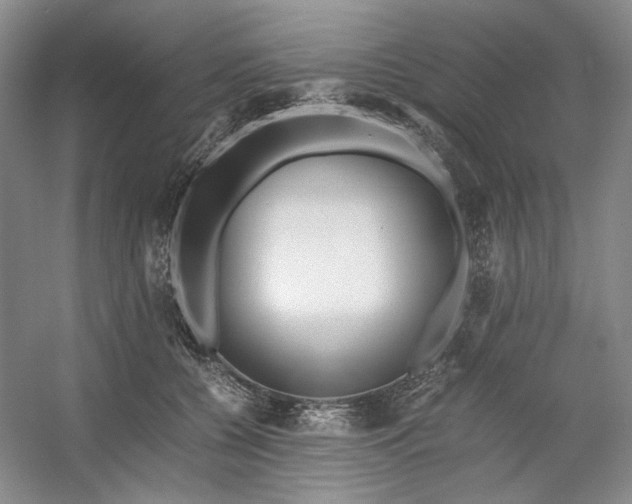 X0000053070560200507251502