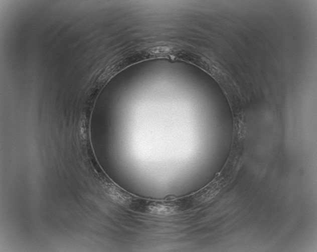 X0000053070561200507251502