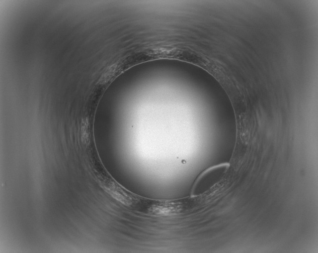 X0000053070563200507251502