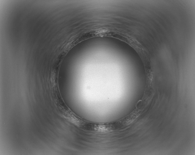 X0000053070565200507251502