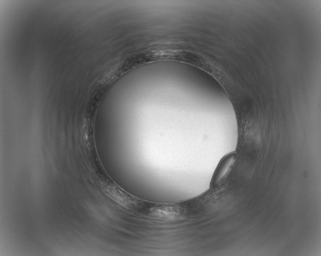 X0000053070567200507251503