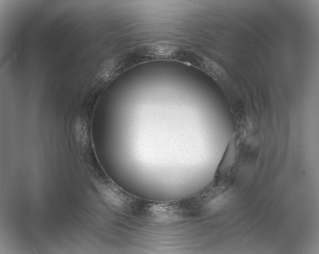 X0000053070568200507251503