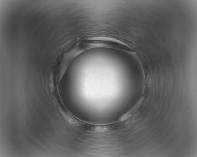 X0000053070570200507251503