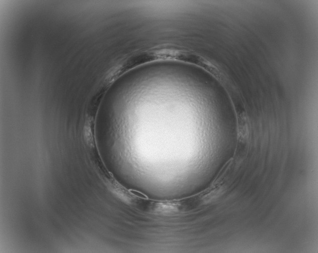 X0000053070573200507251503