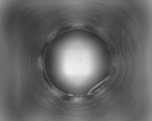 X0000053070575200507251503