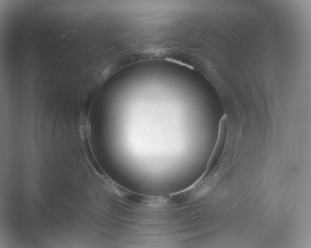 X0000053070576200507251503