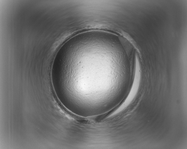 X0000053070577200507251502