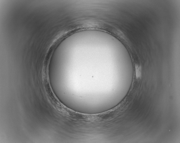 X0000053070579200507251502