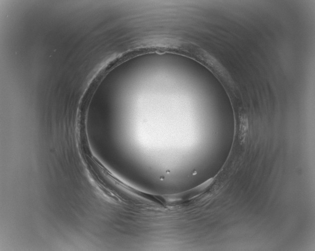 X0000053070580200507251502