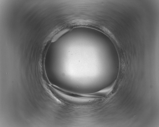 X0000053070581200507251502