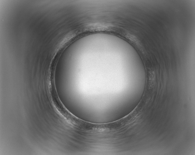 X0000053070582200507251502