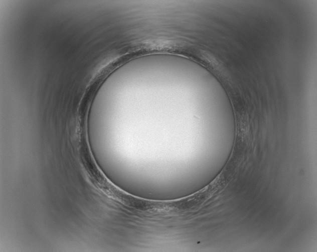 X0000053070583200507251502