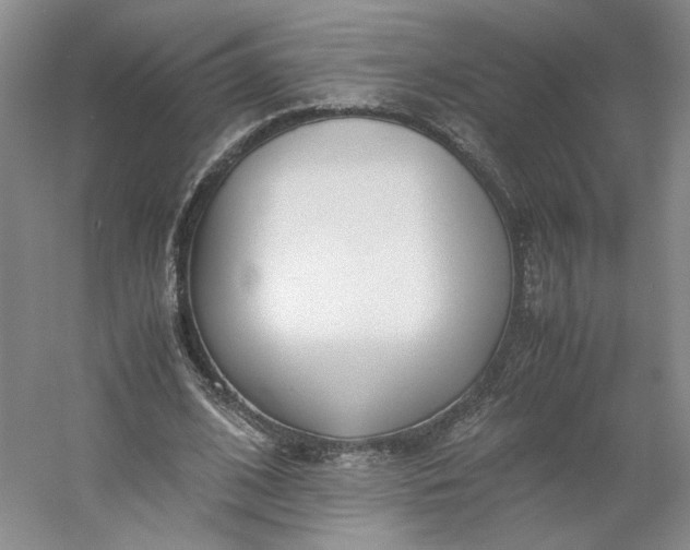 X0000053070584200507251502