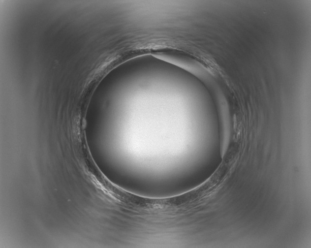 X0000053070585200507251502