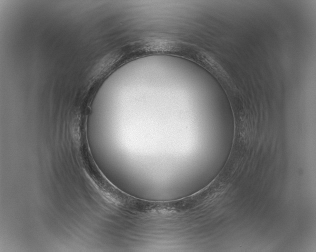 X0000053070586200507251502