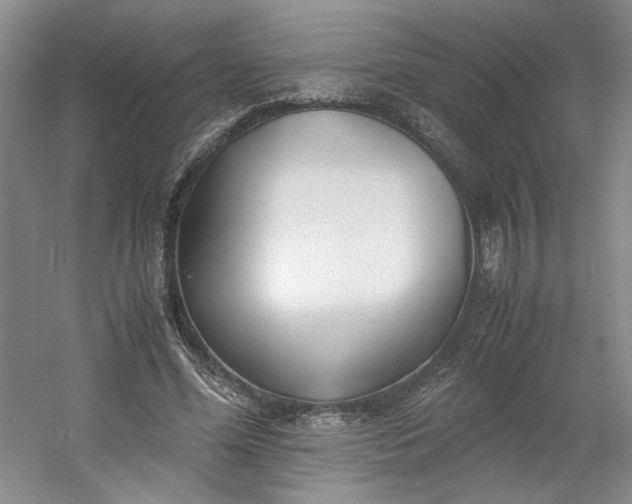 X0000053070588200507251502