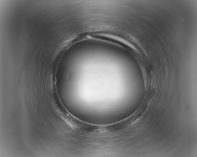 X0000053070589200507251502