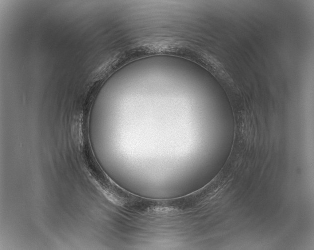 X0000053070590200507251502