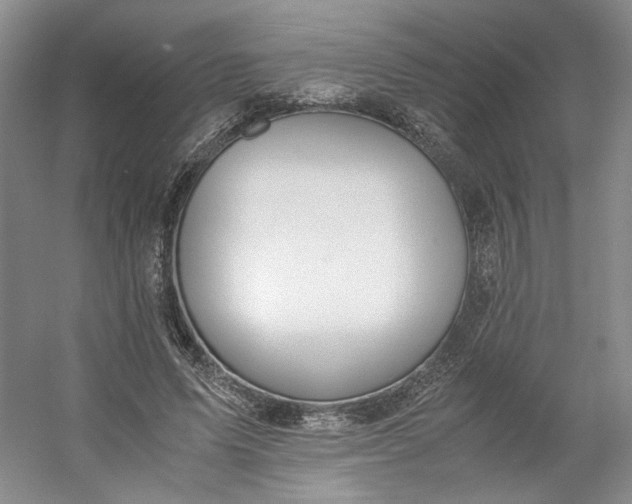 X0000053070591200507251502