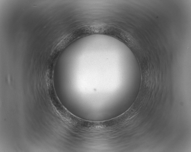 X0000053070594200507251502