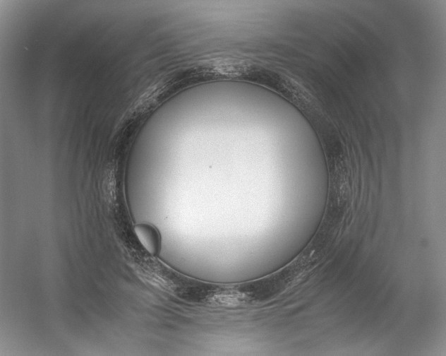 X0000053070595200507251502