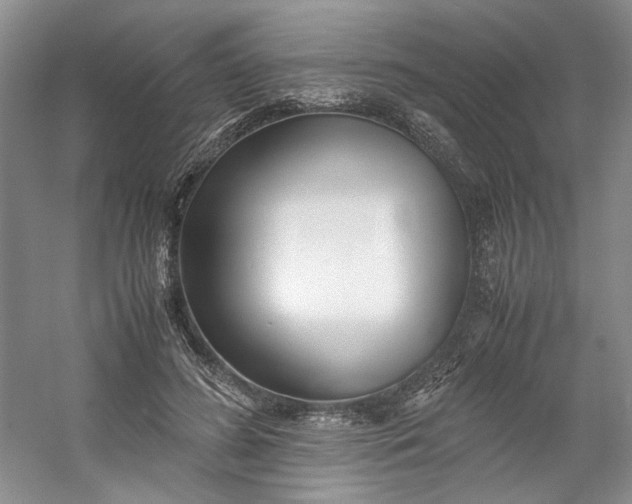 X0000053070596200507251502