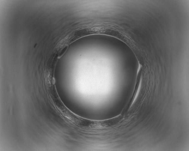 X0000053070597200507251501