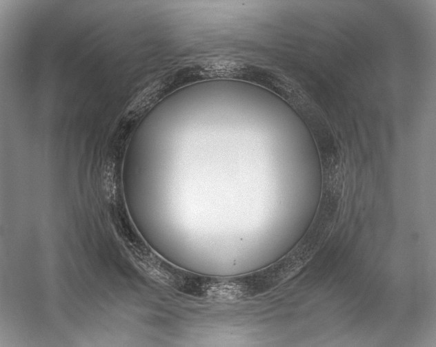 X0000053070599200507251501