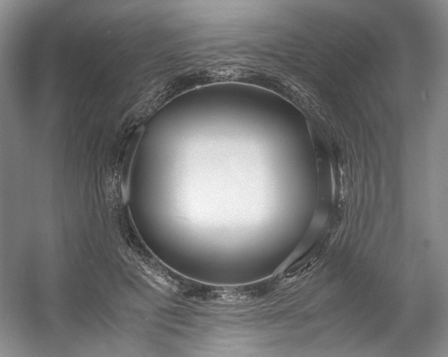 X0000053070601200507251501