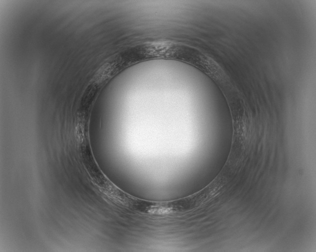 X0000053070602200507251501