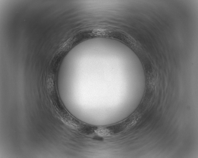 X0000053070603200507251501