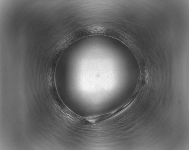 X0000053070604200507251501