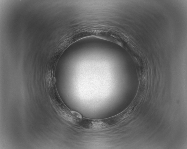 X0000053070605200507251501