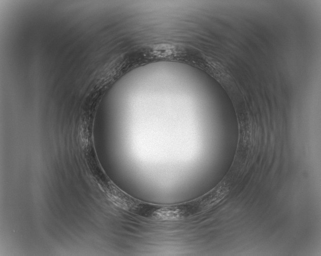 X0000053070606200507251501